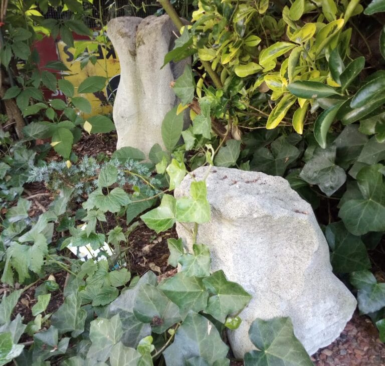 Harry Vossen mijmert in zijn weelderige tuin