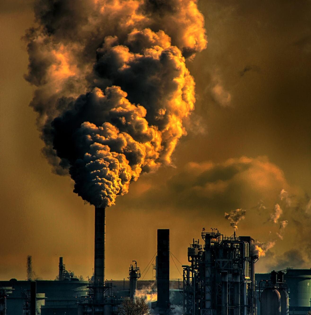 Klimaatburgemeester Raalte over het belang van de Klimaatweek