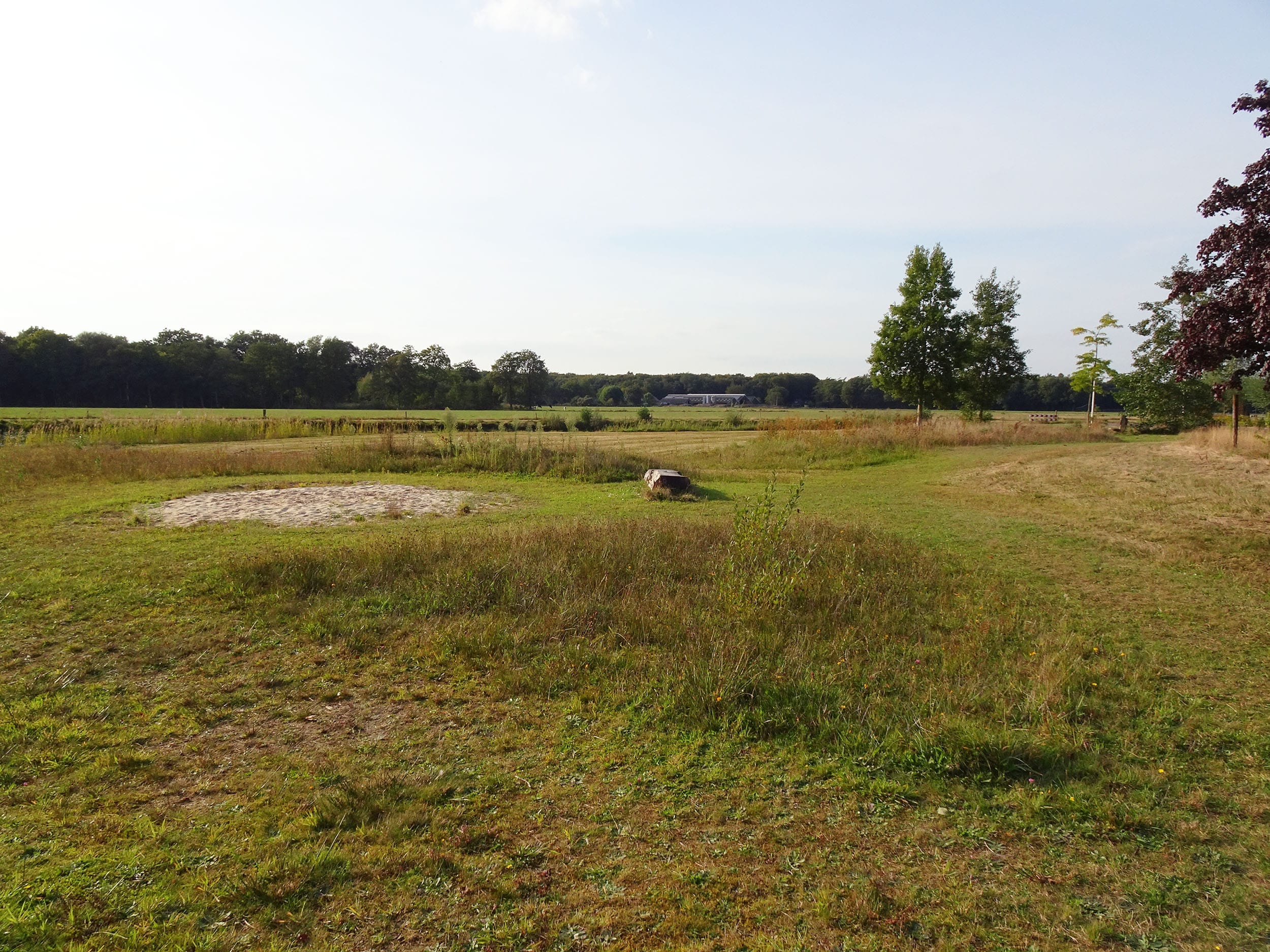 De Sallandse Vlinderfotograaf: Tuin winterklaar maken