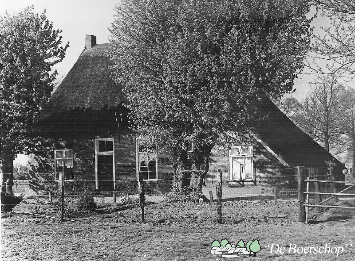 Diss’n van Roerink wijkt even af van bouwverhalen en heeft het deze keer over de Roerink (Lammers) reünie