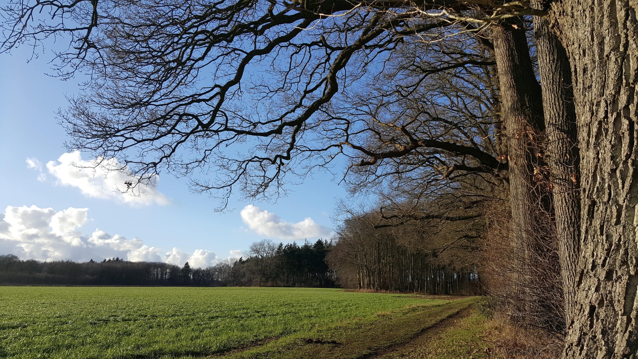 Erfcoaches kunnen je helpen in deze onvoorspelbare tijden