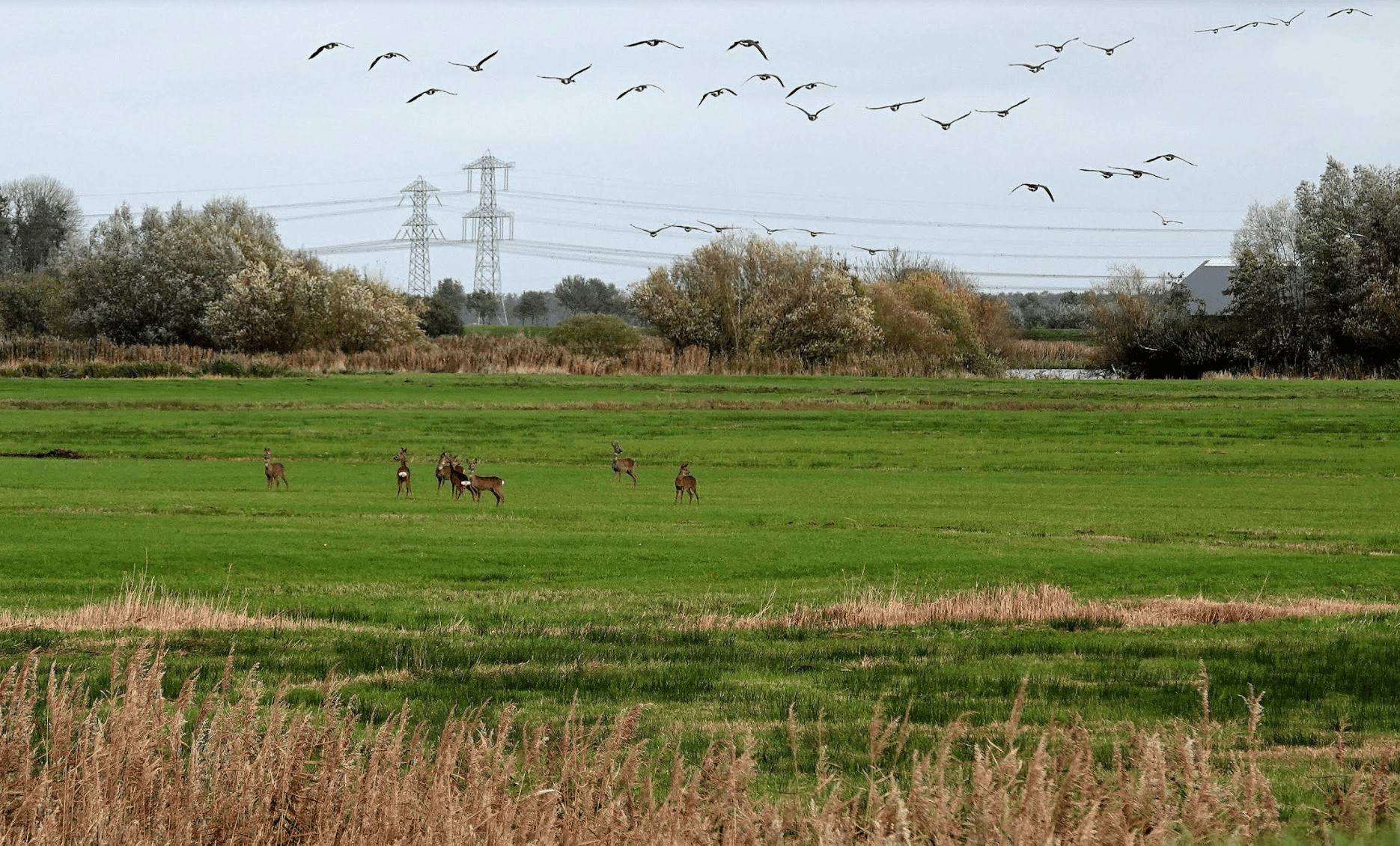 Wandelen met Sjaak: Het wordt (helemaal g)een mindere dag (met video)