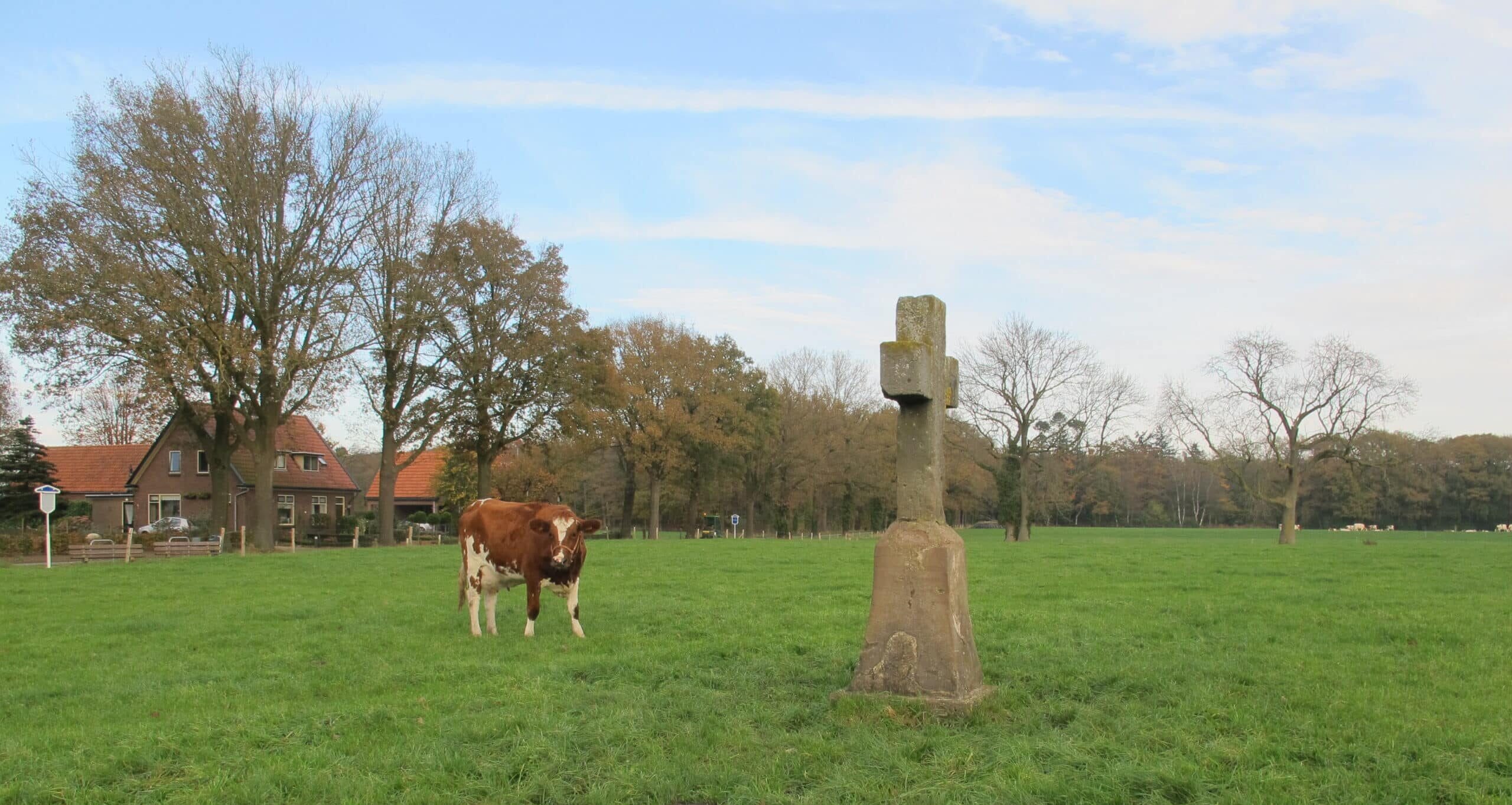 Versteende Verlangens, over het kruis op de Eikelhof