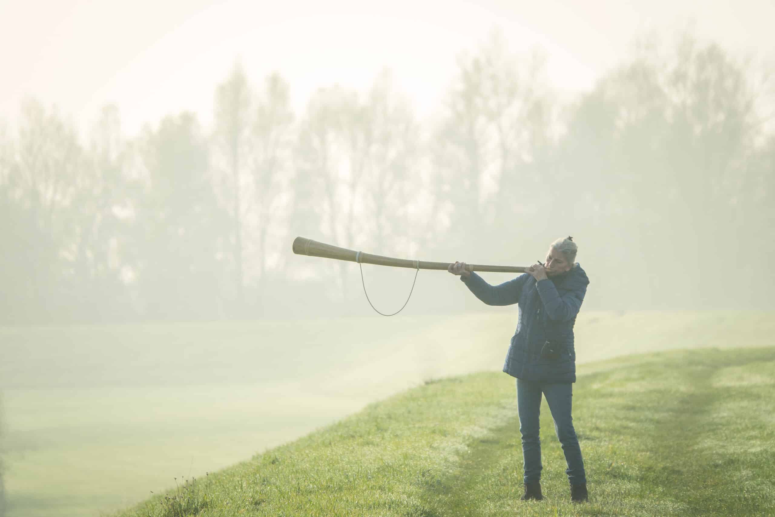 Hoe mooi is Salland? Langs de Tichelgaten van Herxen