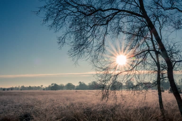 Boetelerveld: een rol voor de gemeente?