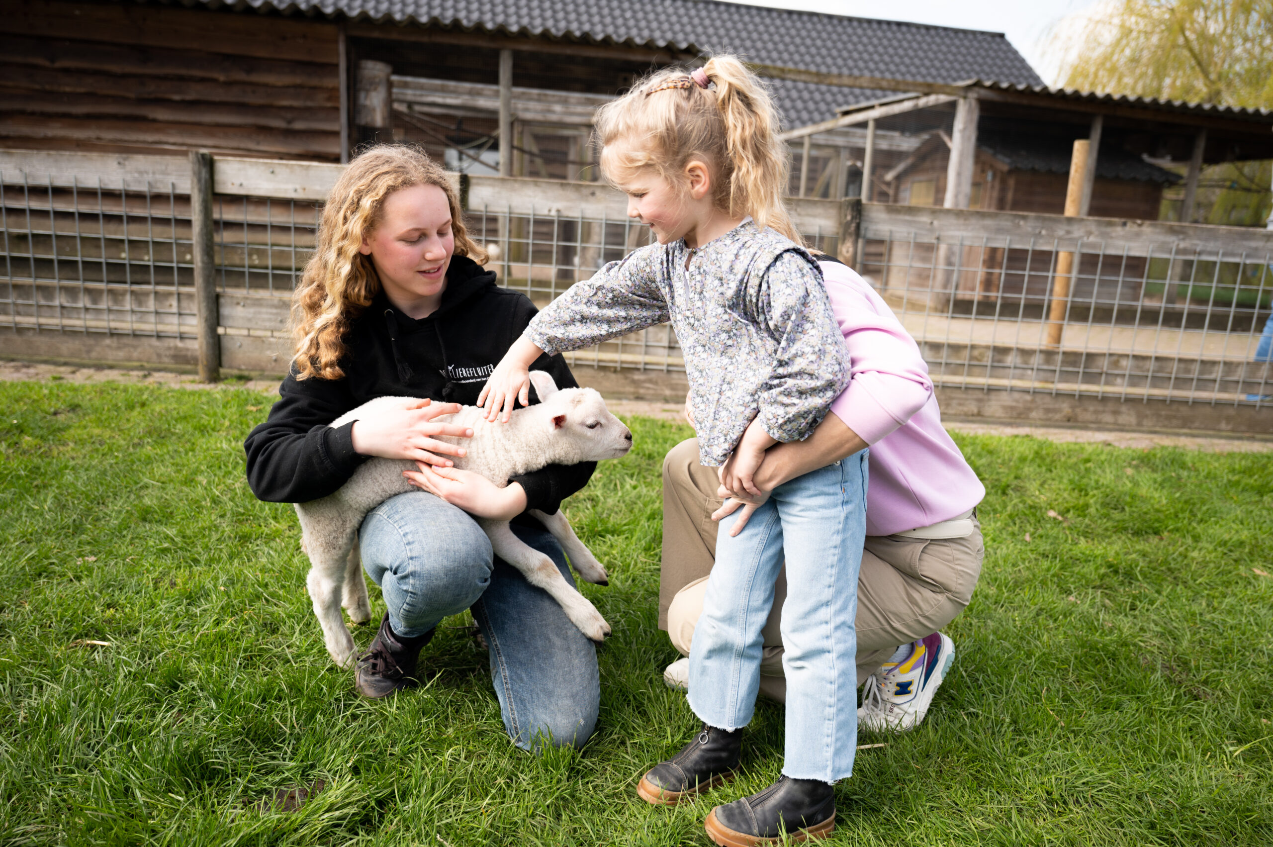 Lammetjes aaien en schapen scheren tijdens de meivakantie bij Speelboerderij De Flierefluiter