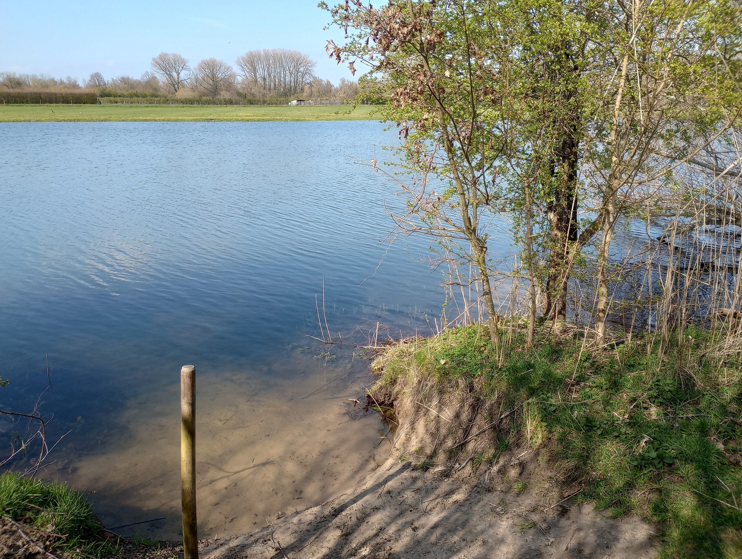 Zwemmen op schrikkeldag