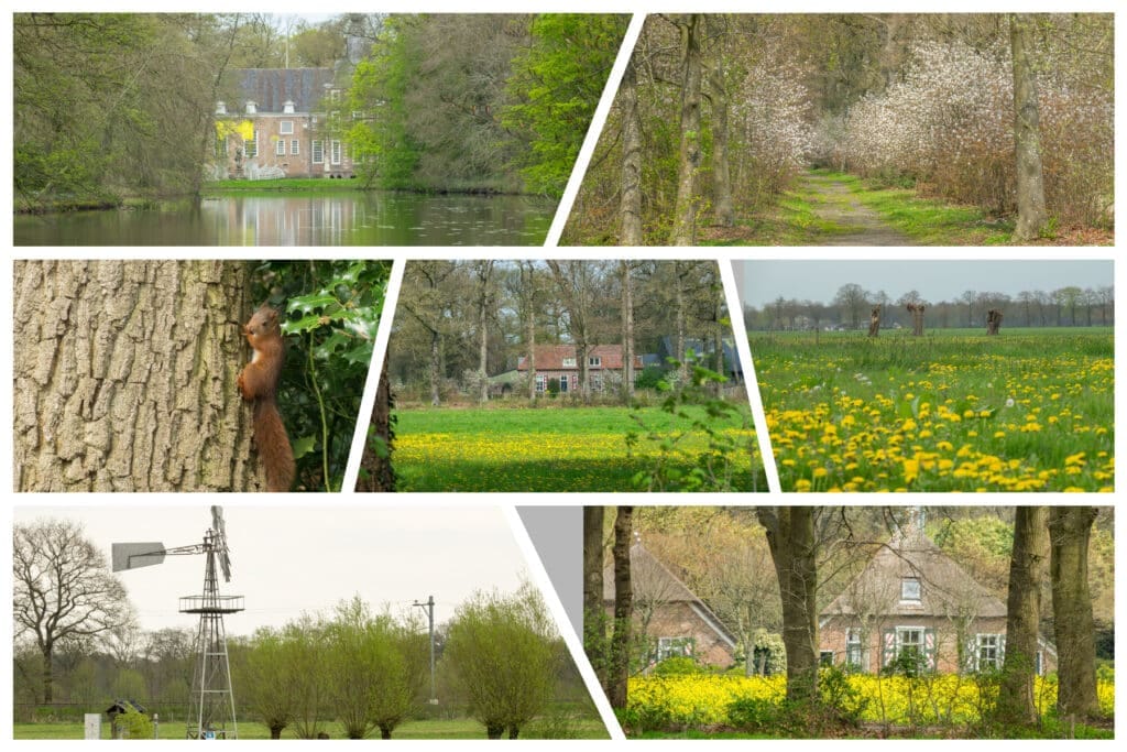 Hoe mooi is Salland? Kijk maar eens mee op De Velner en bij ‘t Nijenhuis