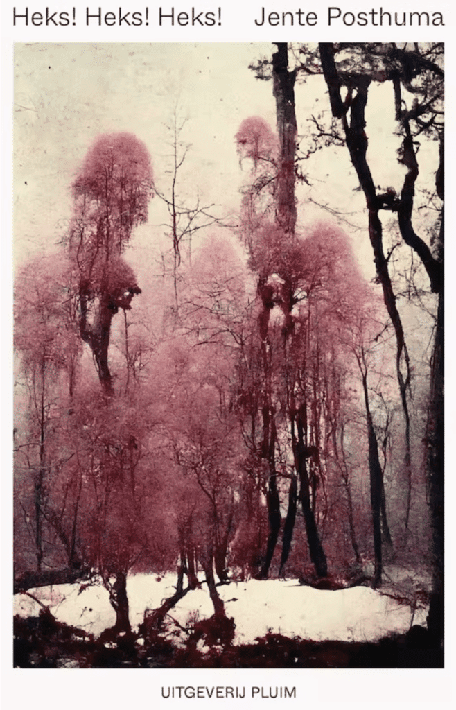 Recensie: De heks van Lettele ontsnapte aan het wrede paasvuur van Espelo