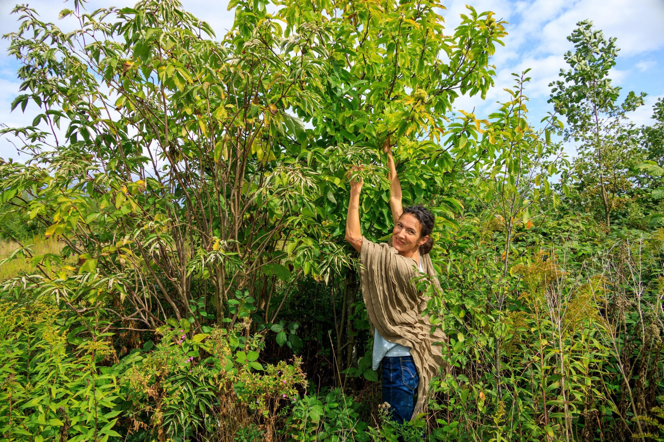 Werkplaats Voedselbossen Oost-Nederland organiseert Ontmoetingsdag Lente-oogst