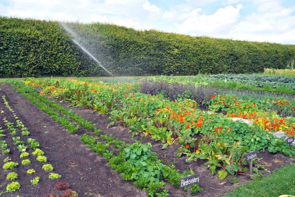 Moestuindag op Klooster Nieuw Sion