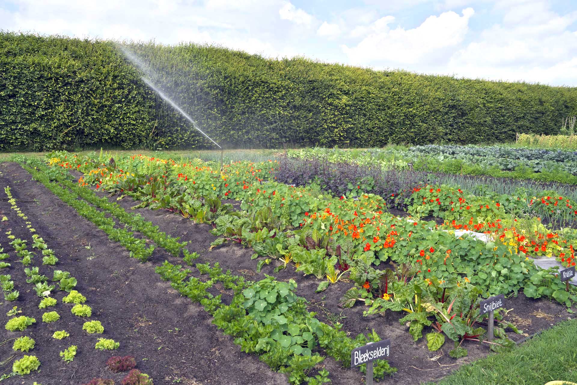 Moestuindag op Klooster Nieuw Sion