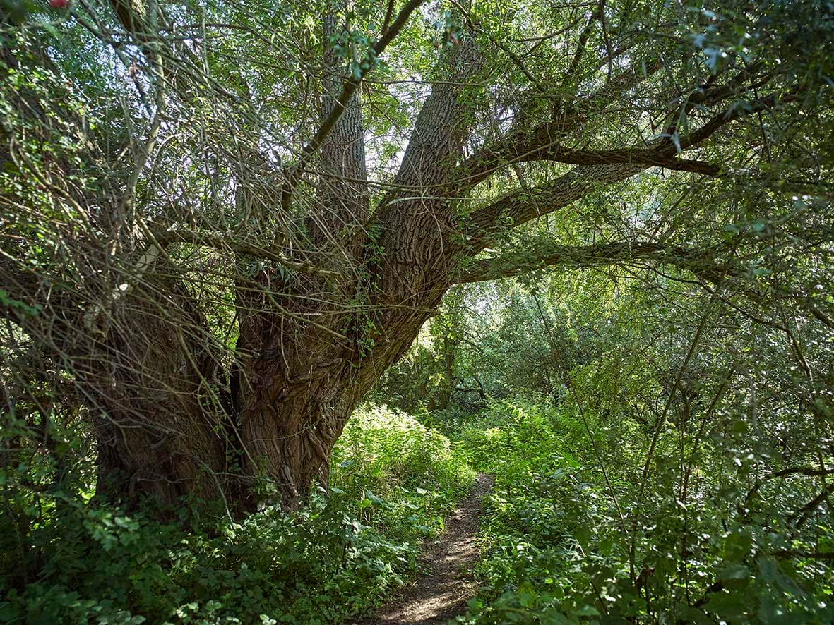 Meditatieve struintocht