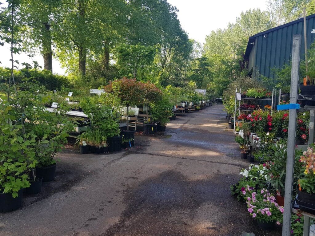 Groencentrum Hoveniersbedrijf Holsto Tuinen & Buitenleven, het Olster biologische plantenparadijs voor Salland