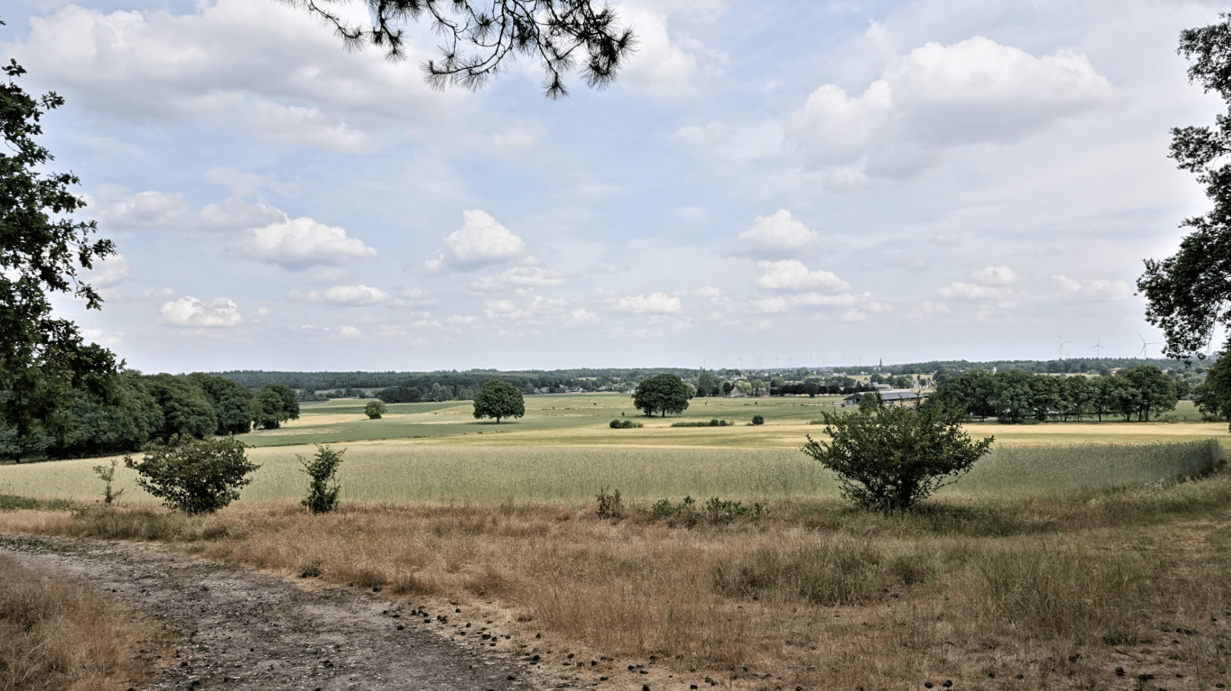Wandelen met Sjaak, ook als ie op vakantie is op de flanken van De Hulzenberg