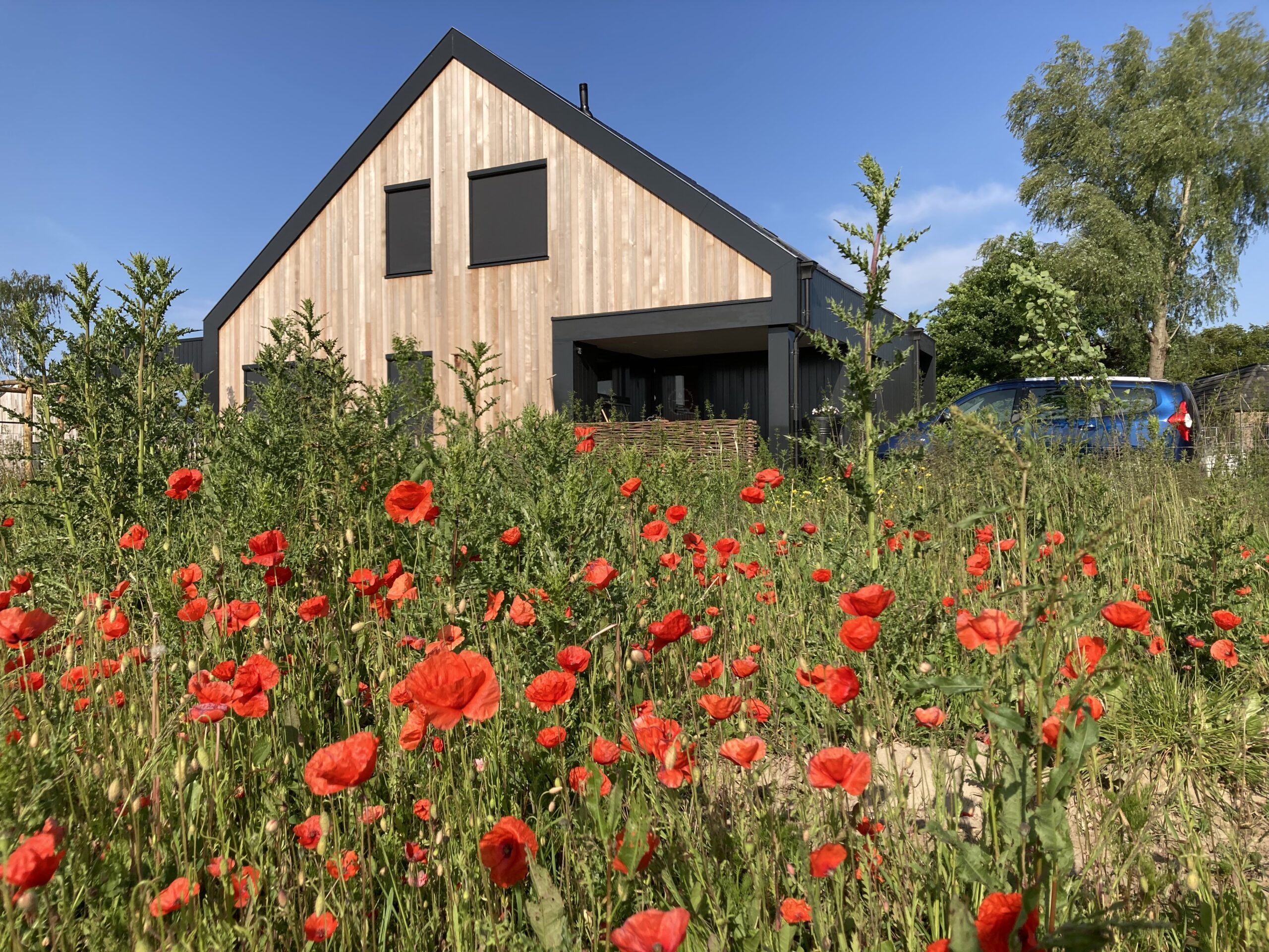 Klimaatburgemeester Raalte: Nut en Noodzaak Ecologische bouw
