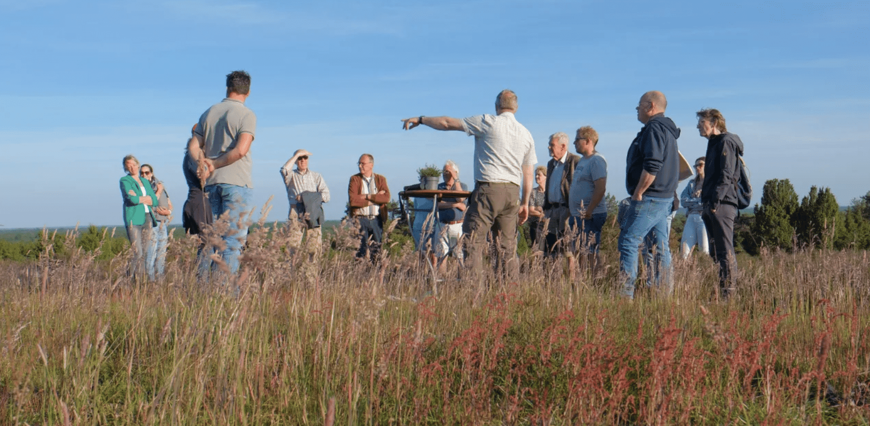 Overijssel blij met Landschap Overijssel: ze behartigen de belangen van de natuur