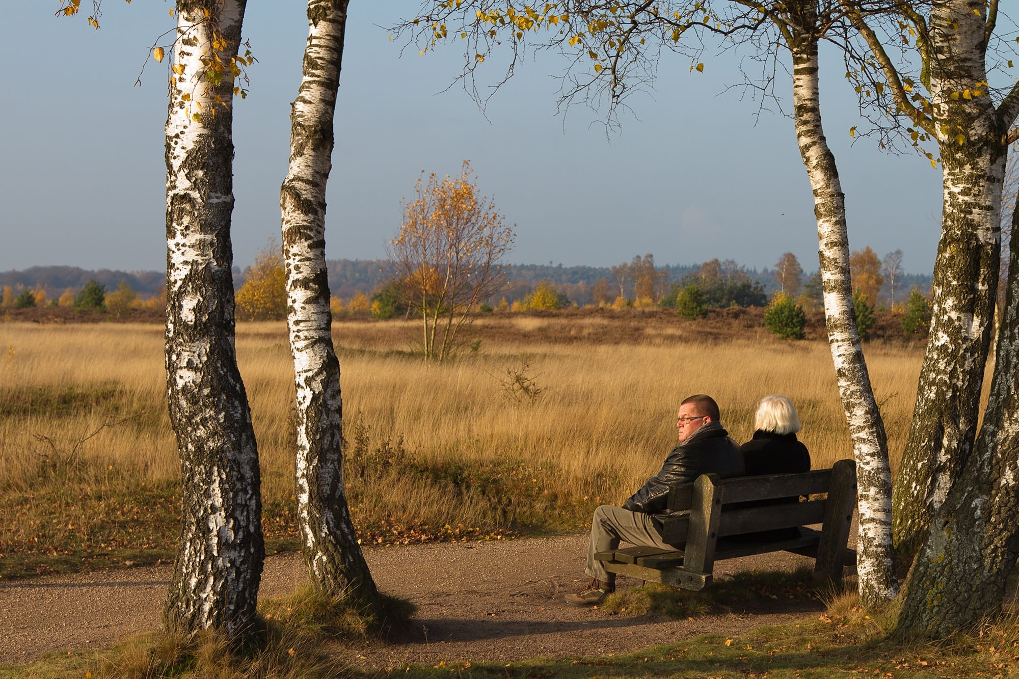 Met open oog: Mijmeren op een bankje