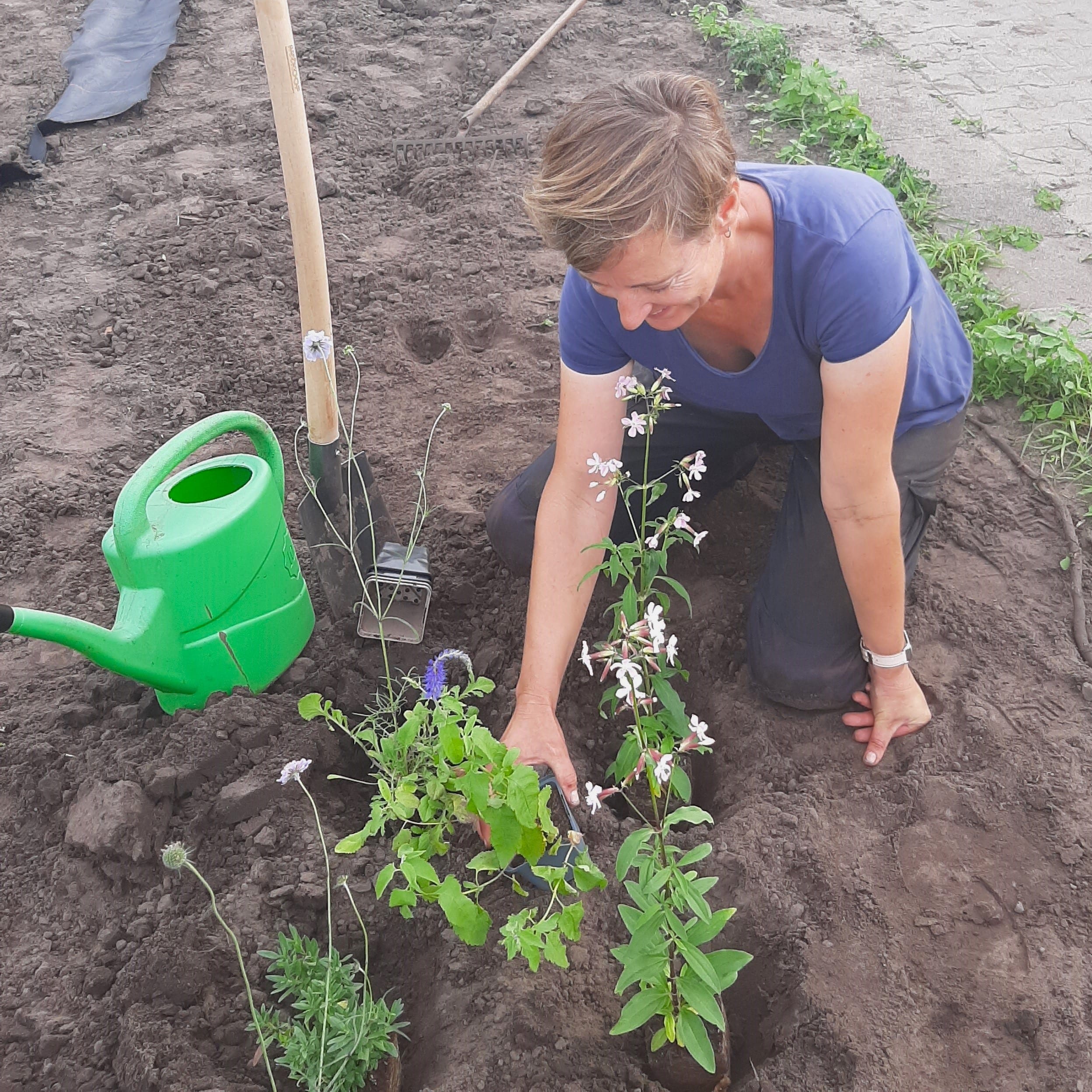 Maak je tuin winterklaar