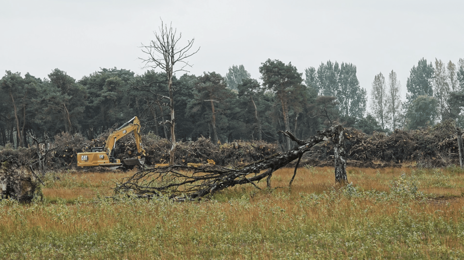 Wandelen met Sjaak: Vernatten of verhogen, je kunt er ook zinnige gesprekken over voeren!