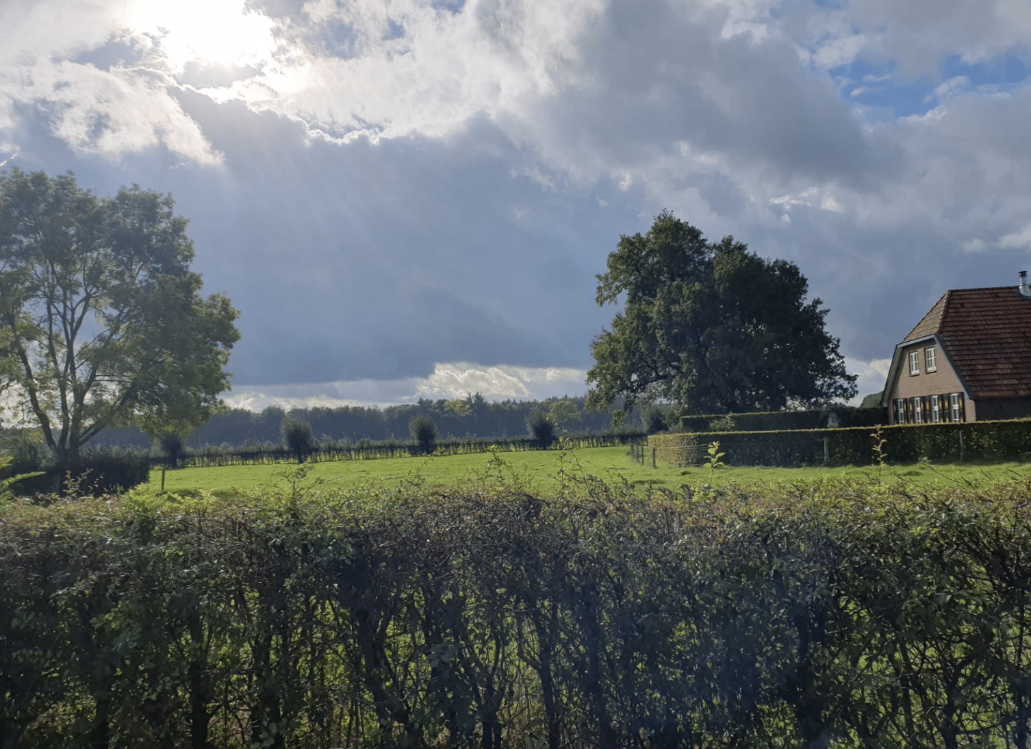 wat doet de natuur oktober haag