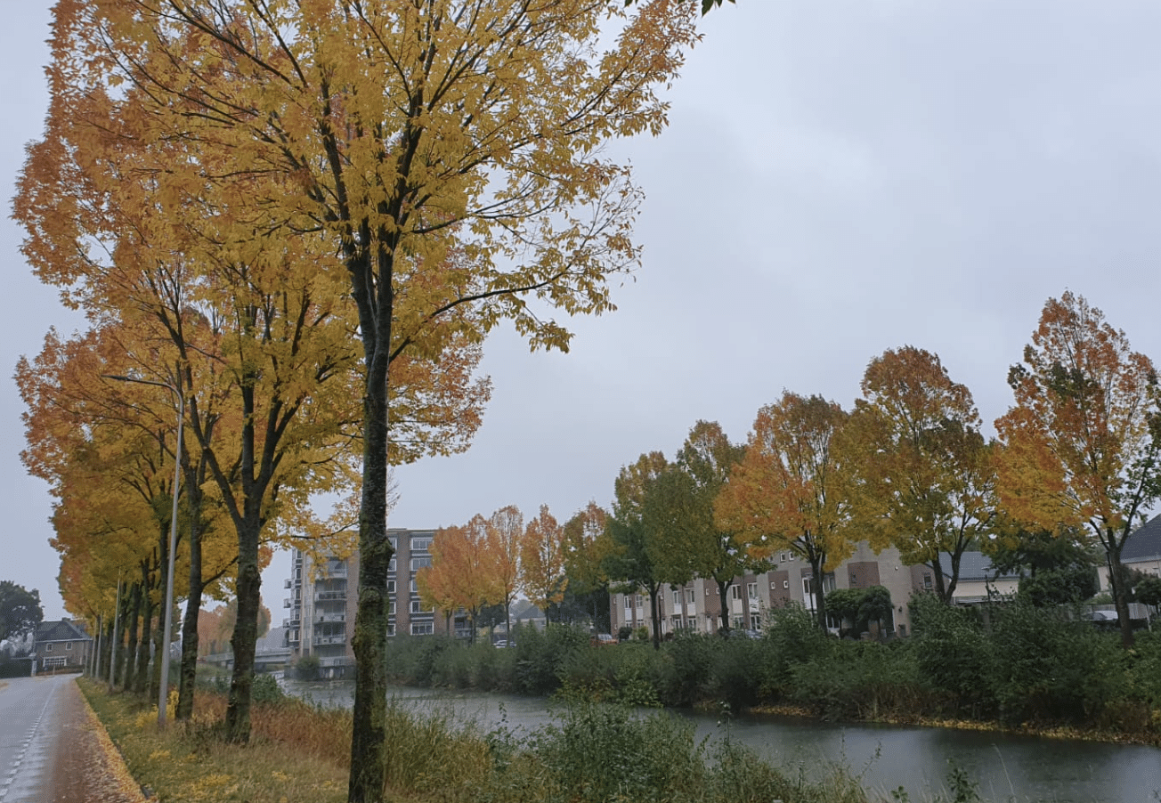 wat doet de natuur oktober blad herfst