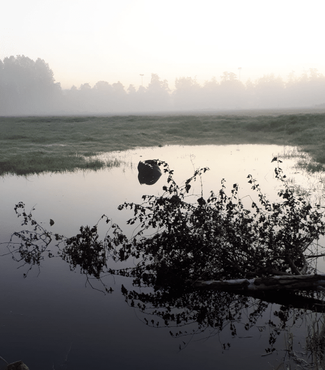 wat doet de natuur oktober mist vijver damp