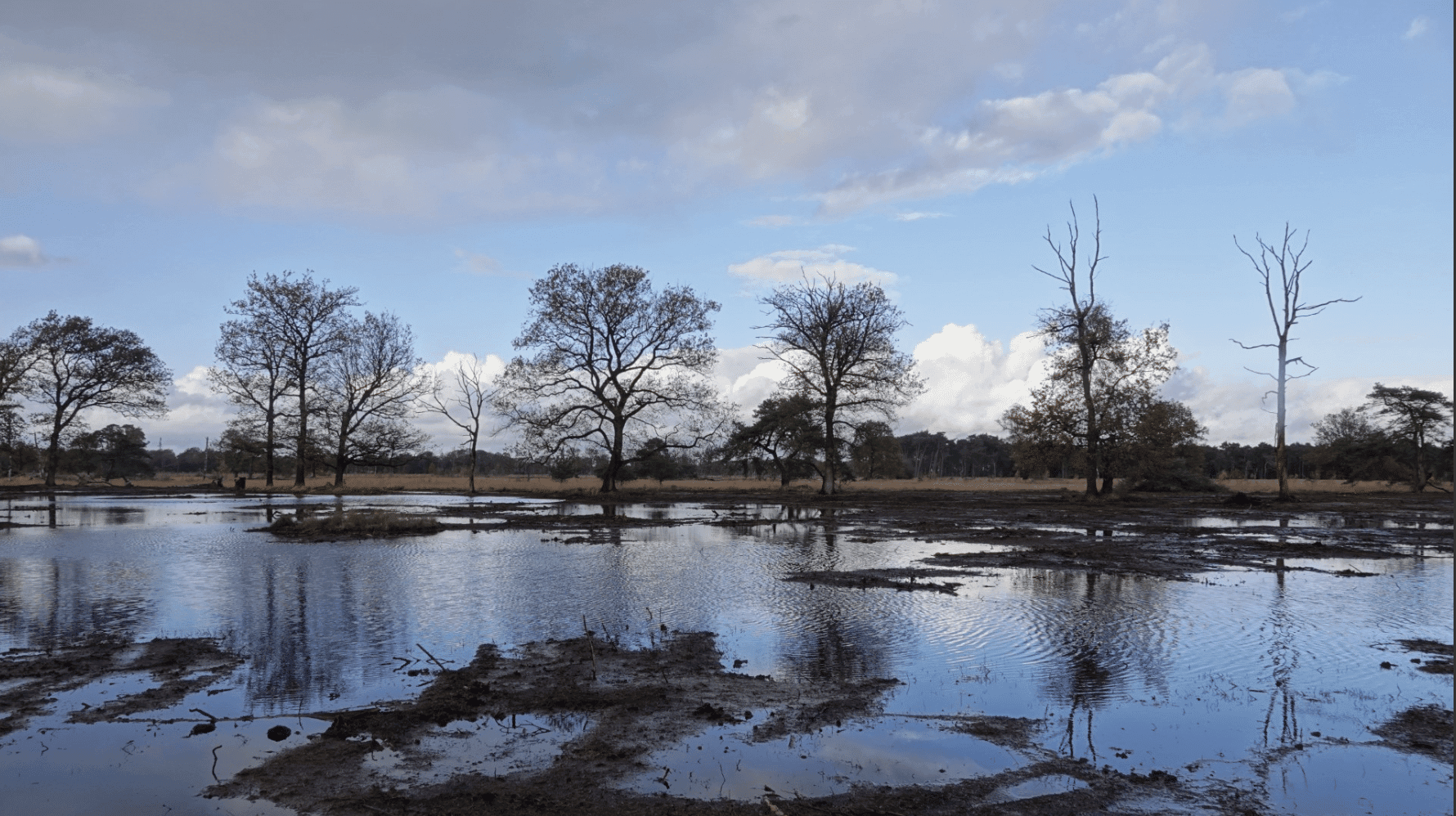 Wandelen met Sjaak: Within a split second