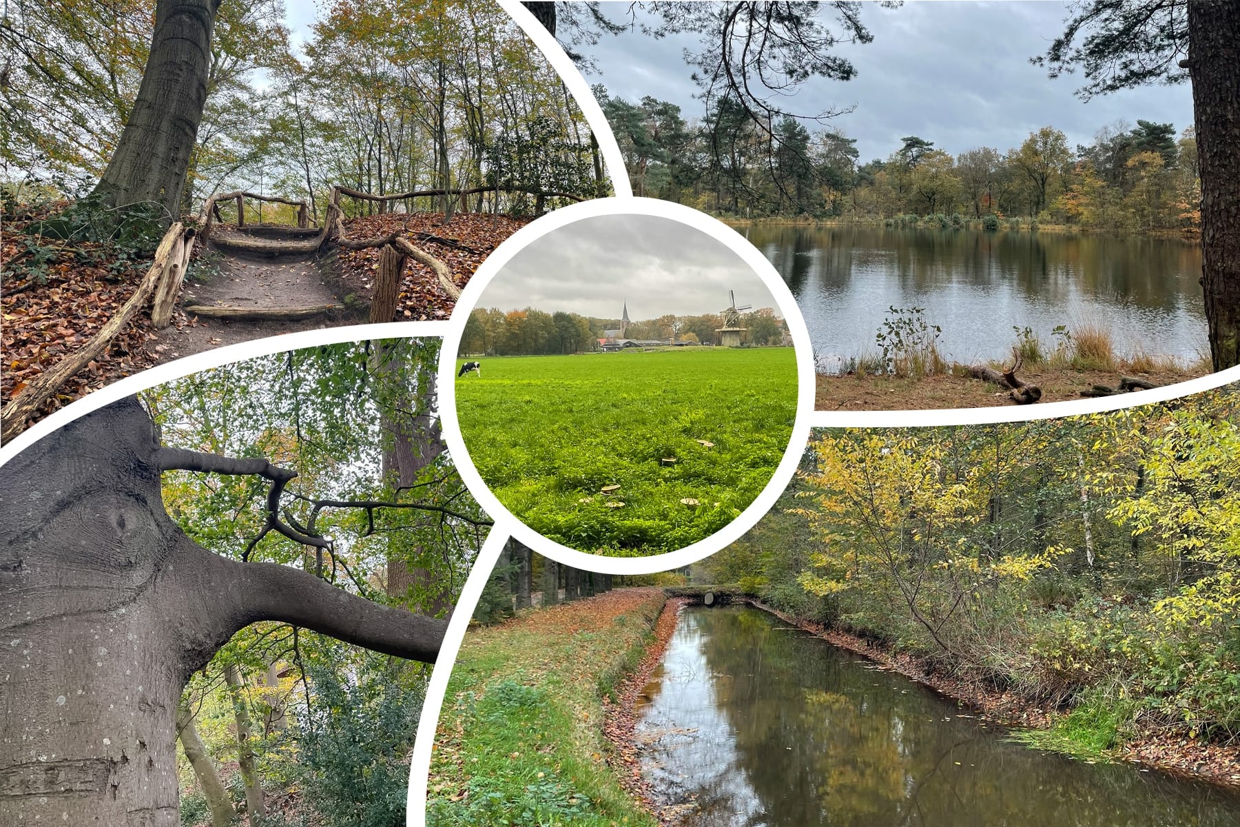 Wandelen met Ida: Hoe mooi is Salland?!