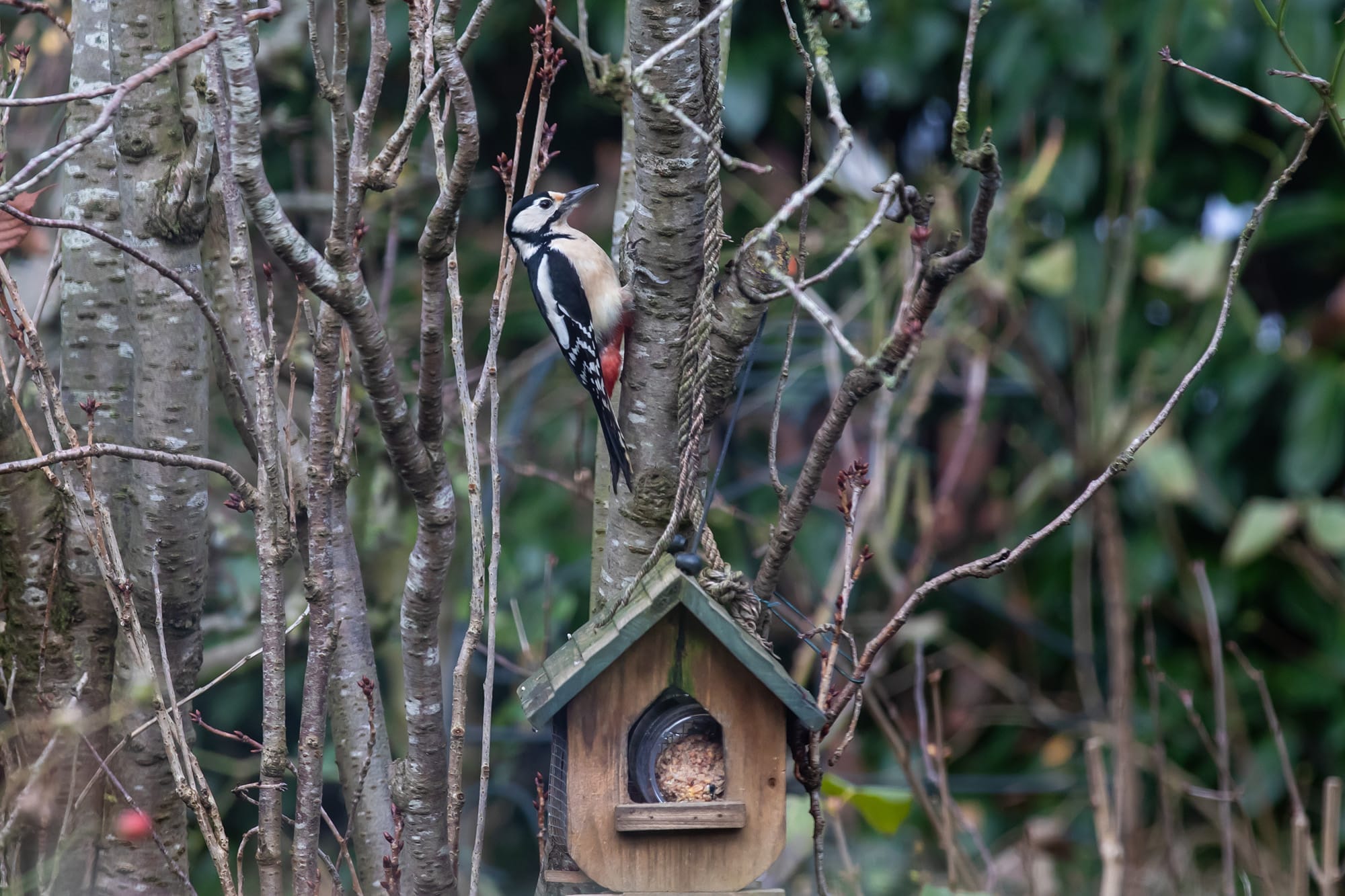 Met open oog: De winter is begonnen | Met mooie foto-repo!