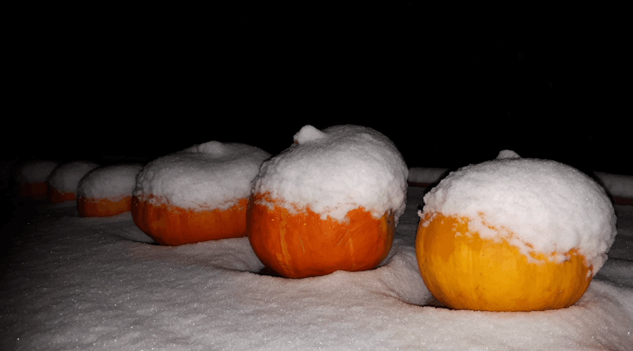 Foto van de maand: herinner je je deze nog?