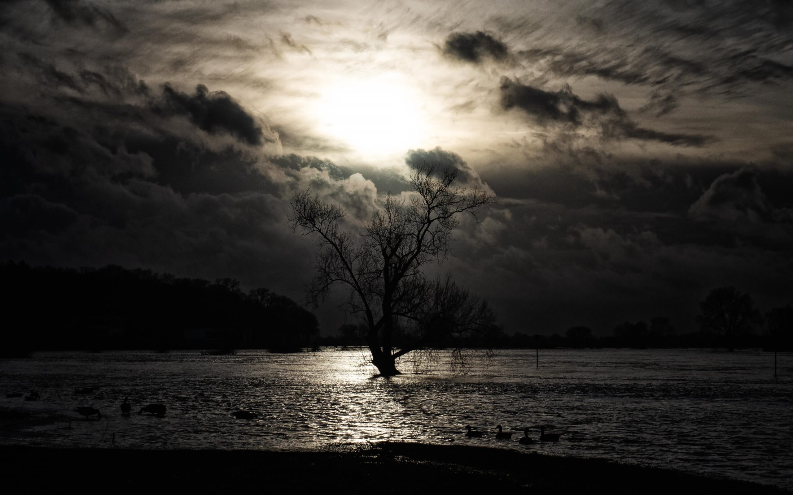 Arend- Jan Loozeman: Staren over het IJsselwater