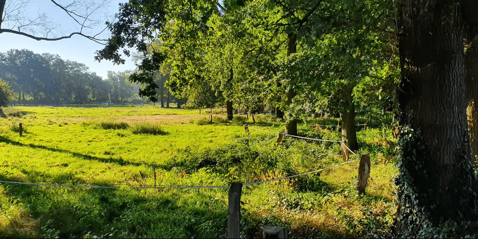 Landschap Overijssel: Dilemma’s van een natuurbeheerder