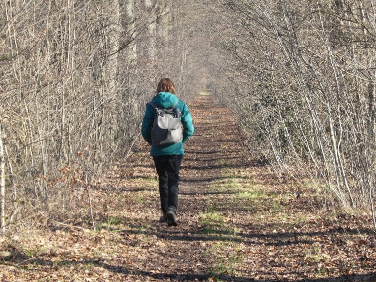 Dagklad: Keep on rucking