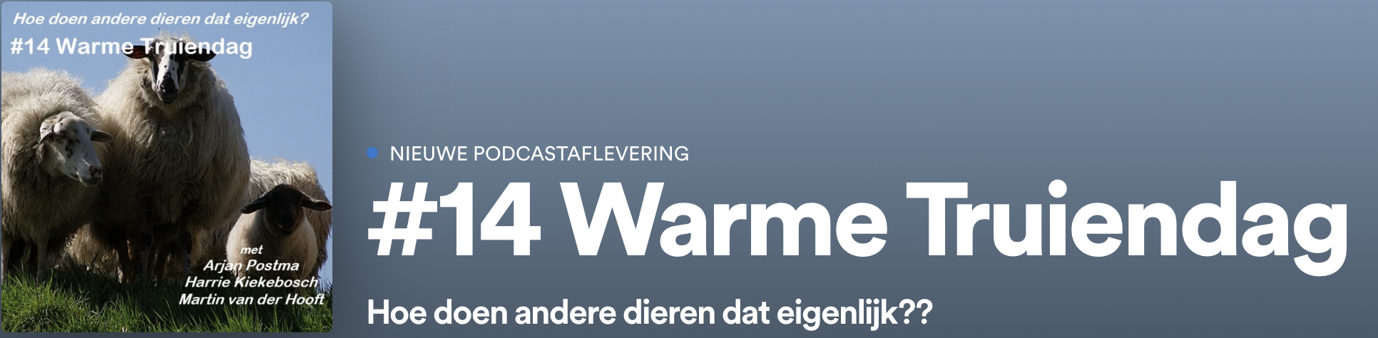 Warme truiendag… Hoe doen andere dieren dat? Podcast met boswachter Arjan
