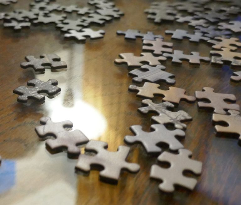 Dagklad: Puzzelroes