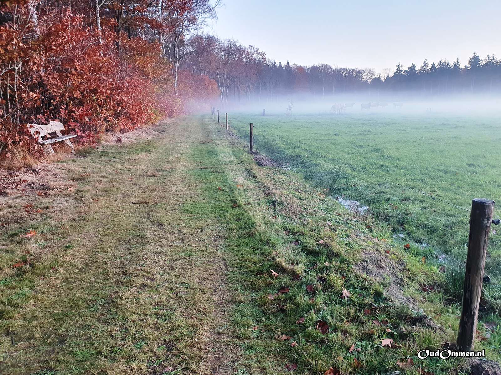 Een wandeling in Varsen