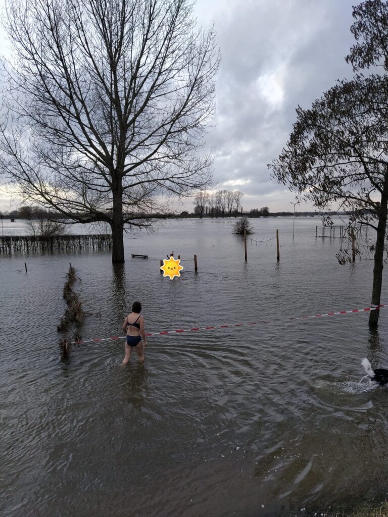 Nieuwjaarsduik