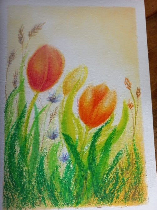 sonja schoppers heino aquarel