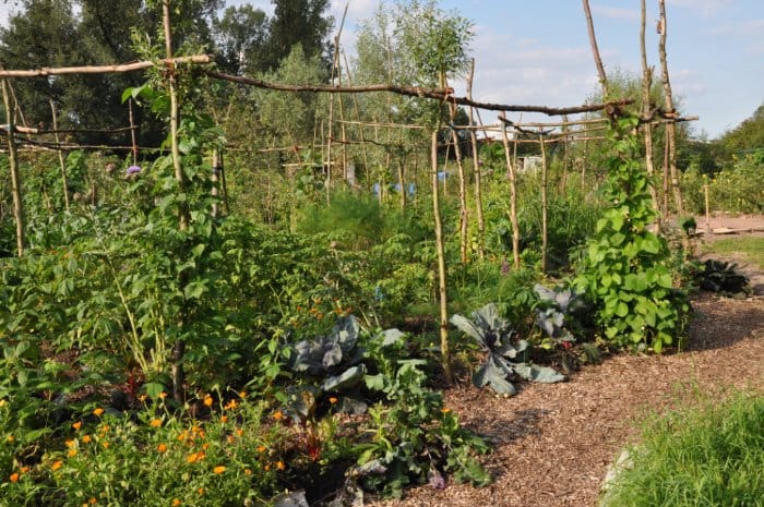 Workshop moestuinieren bij ’t Natuurlijk Huus Raalte