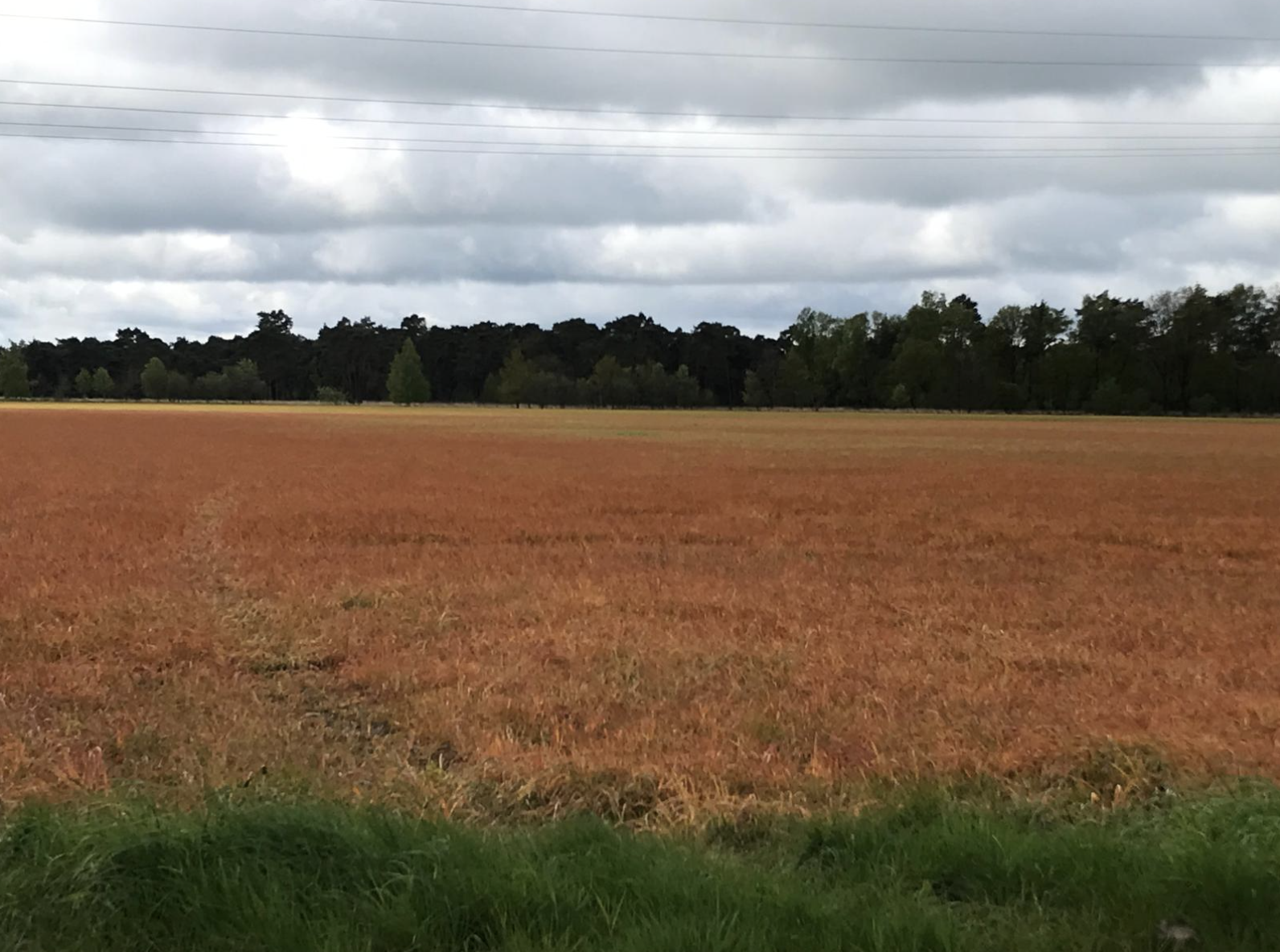 Salland Zoemt: Ga het platteland niet op als er landbouwgif gespoten wordt!