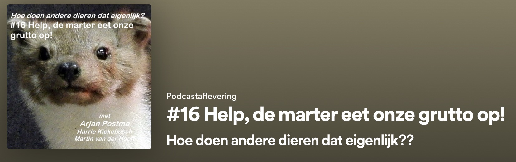 Weidevogels verliezen het van de boer, niet van de steenmarter | Podcast