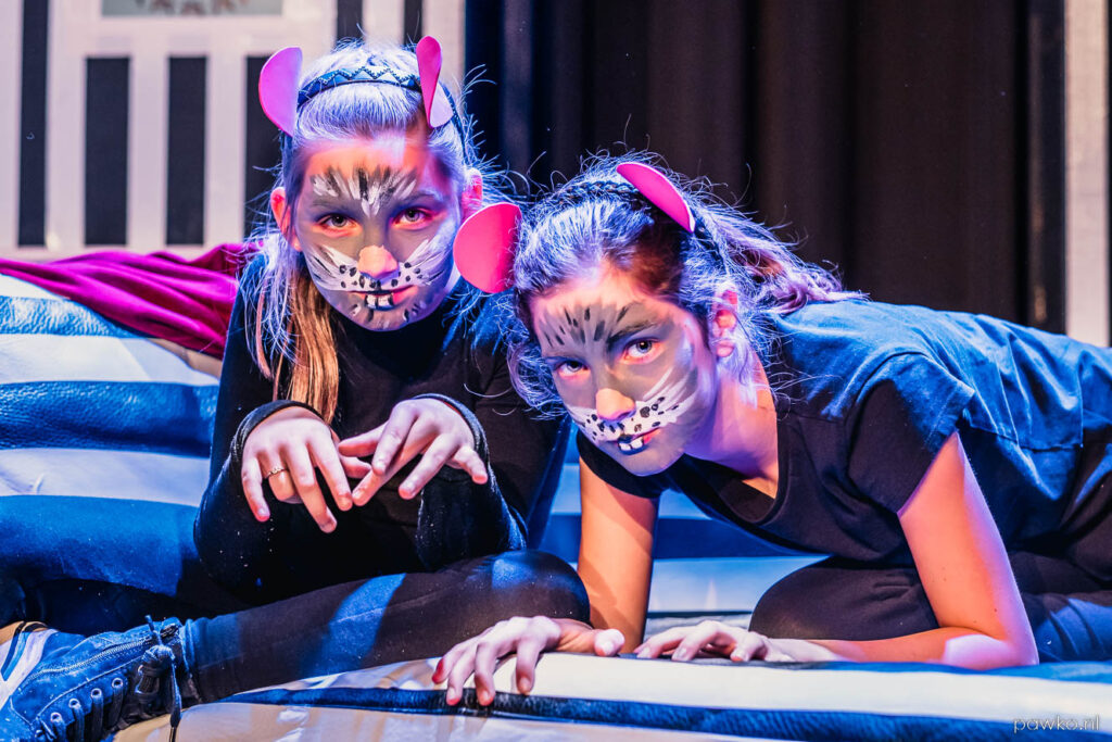 Aftrap culturele seizoen en filmdiner van ut Huus in het Holstohus Olst