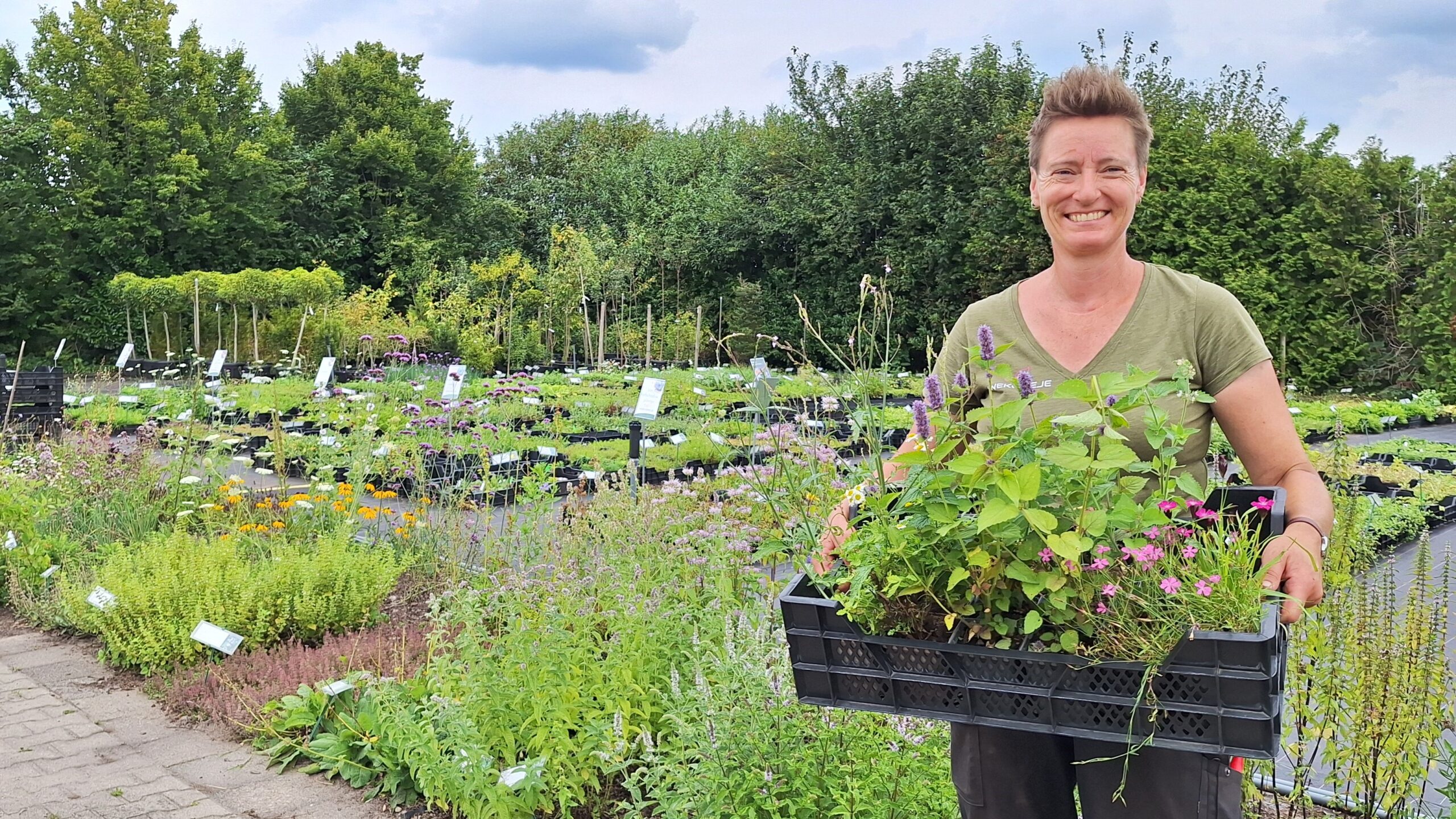Net biologisch gecertificeerd: Kwekerieje in Dalfsen