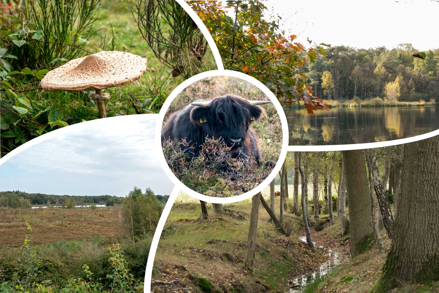 Hoe mooi is Salland? Langs de Reest ook heel mooi!