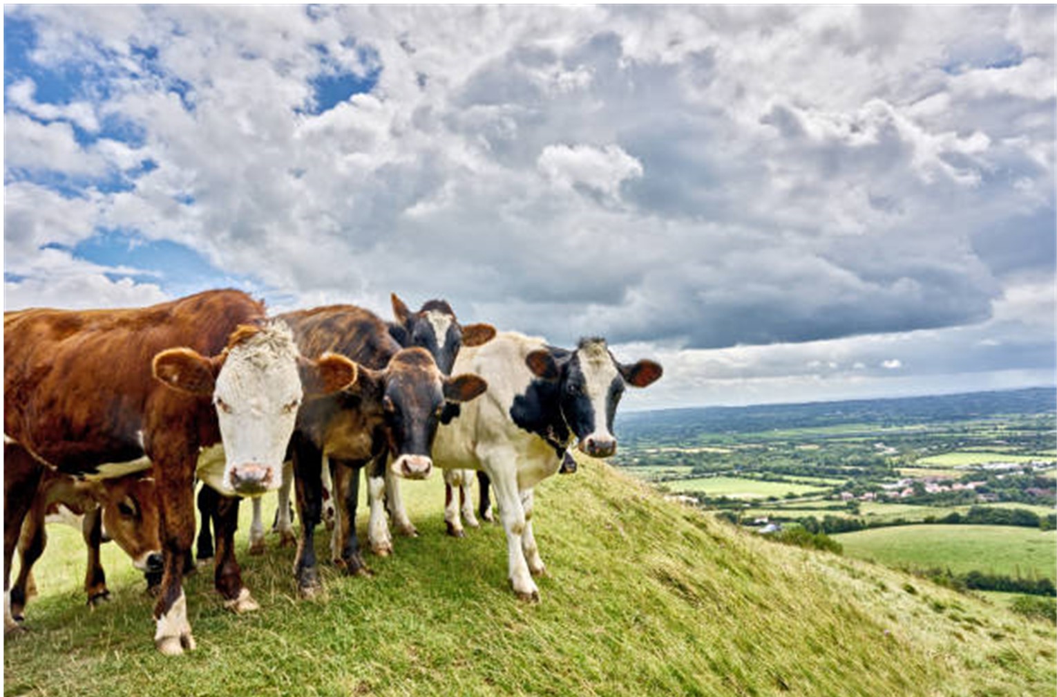 Ebel Berghuis: True pricing een voorwaarde voor een efficiënte, duurzame en circulaire economie