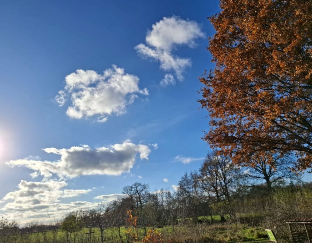 Relatie tussen landbouw en natuur; waar moet naartoe gewerkt worden
