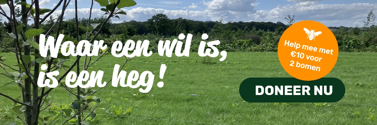 Urgenda crowdfunding voor 1001 ha bomen op boerenland