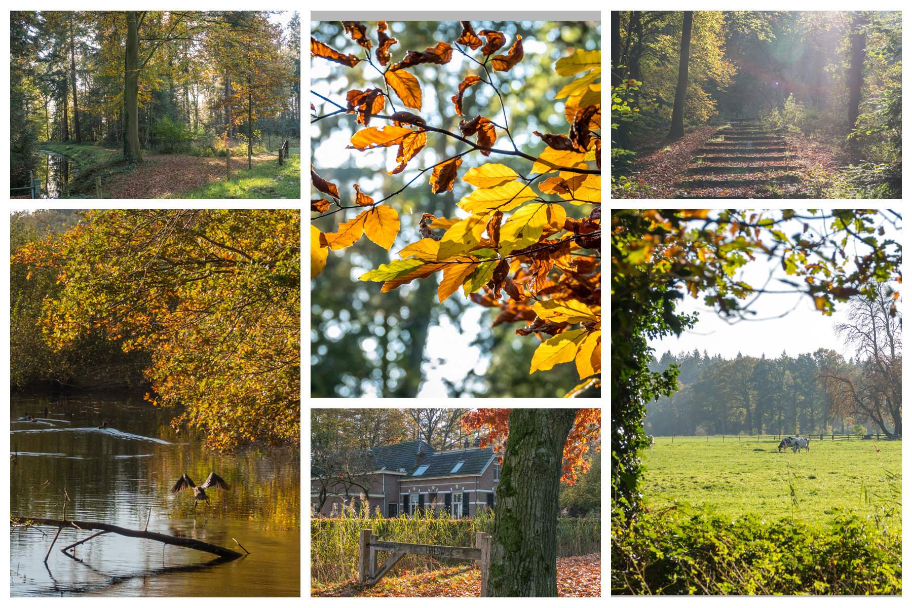 Hoe mooi is Salland?! Ida is een kijkje wezen nemen bij Frieswijk