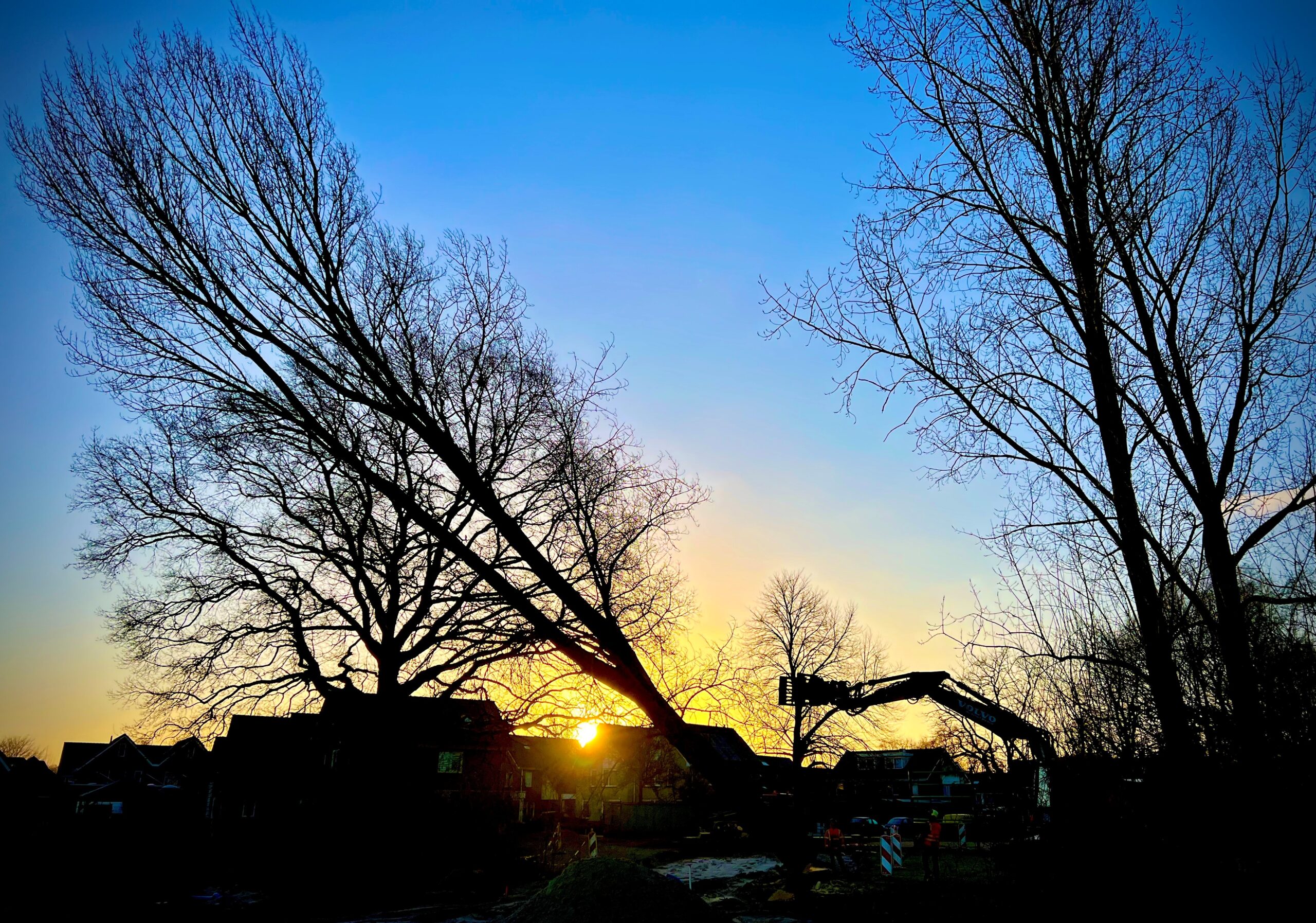 Een reus geveld in Haarle